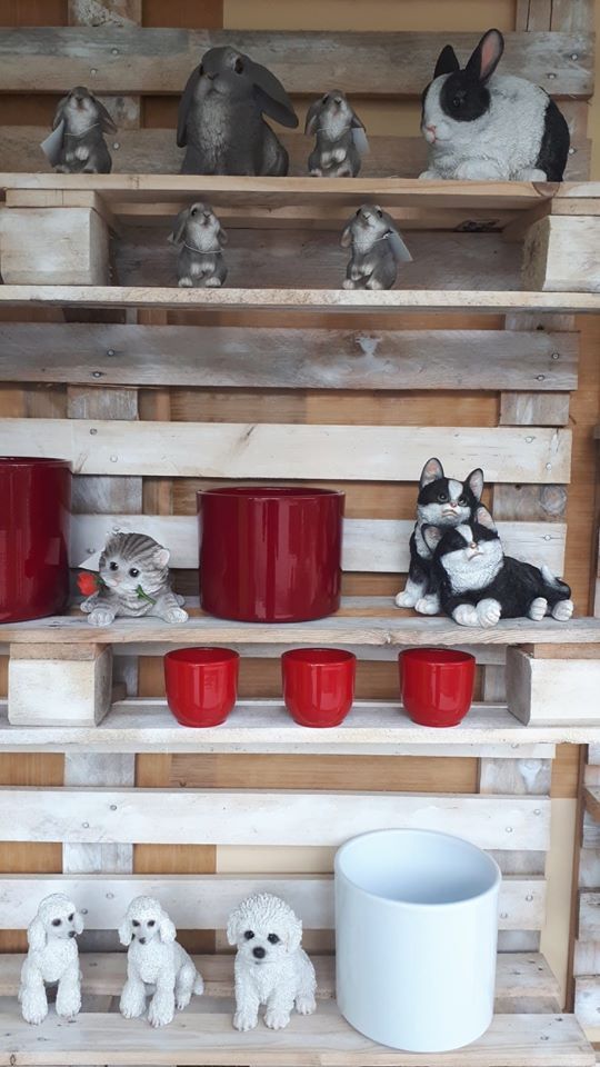 scaffali con regali 2