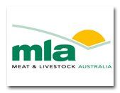 MLA
