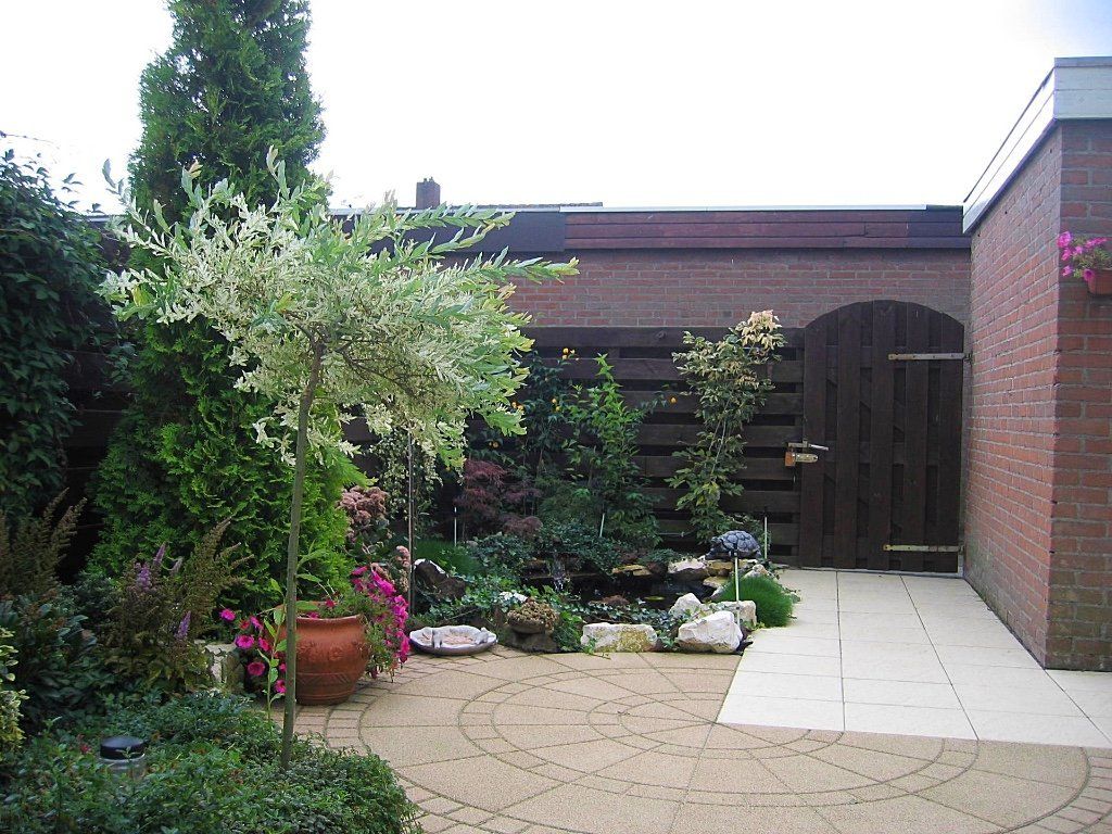 Een achtertuin met diverse planten, een sierboom en een houten poort.