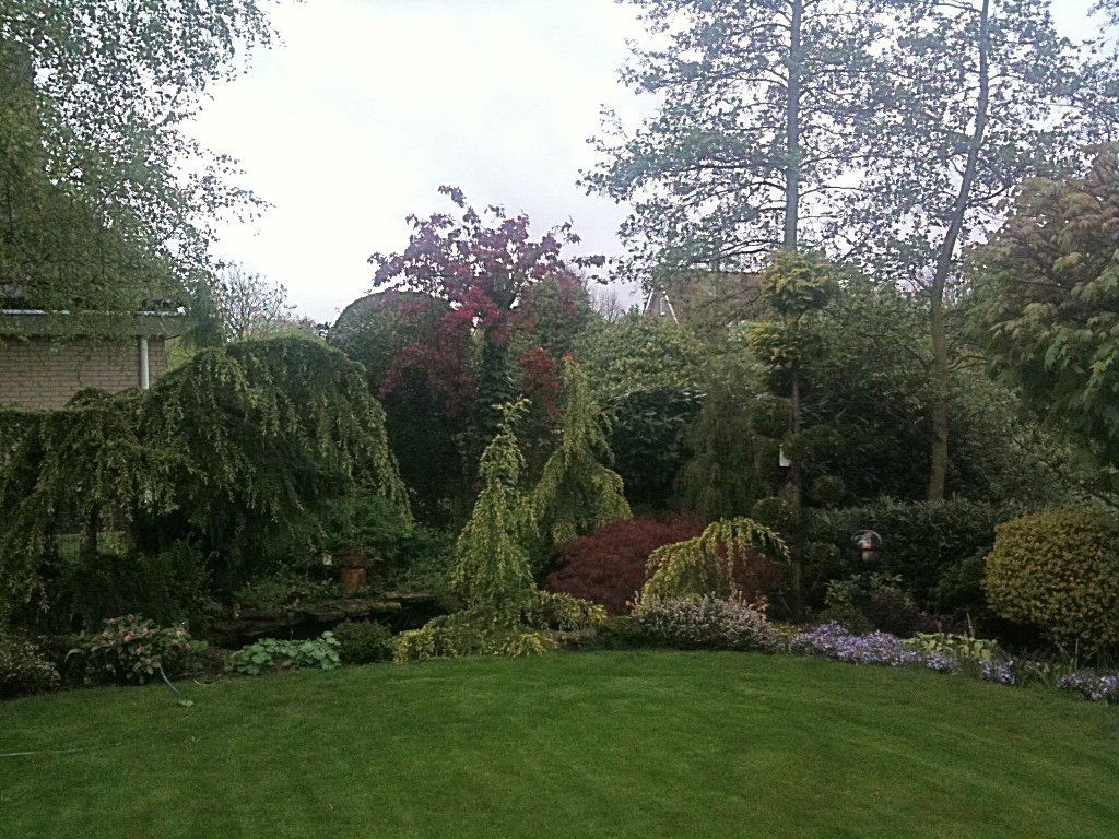 Een weelderig groene achtertuin met diverse bomen en struiken, waaronder treur- en coniferensoorten, onder een bewolkte hemel.