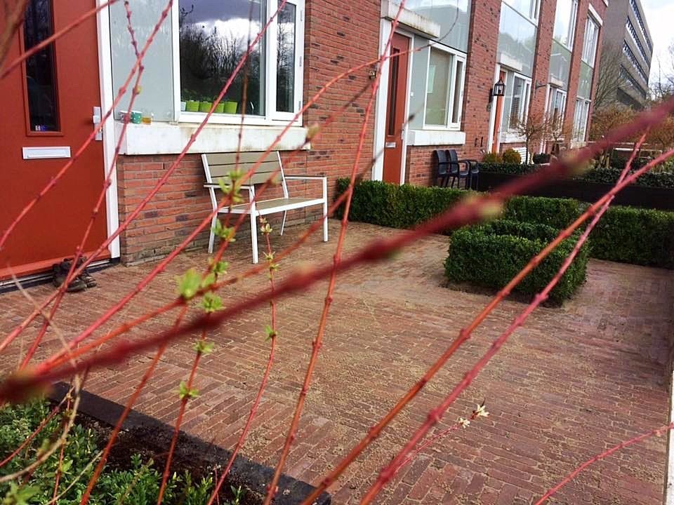 Een rode kornoelje is scherp in beeld, met op de achtergrond een bakstenen terras en rijtjeshuizen. Een witte bank staat bij het raam.