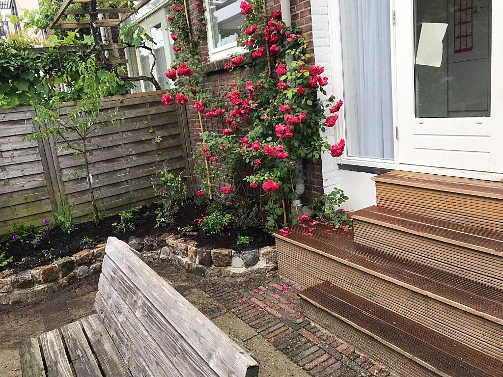 Een bakstenen gebouw met rode rozen die tegen de muur omhoog klimmen; een houten hek en trappen.