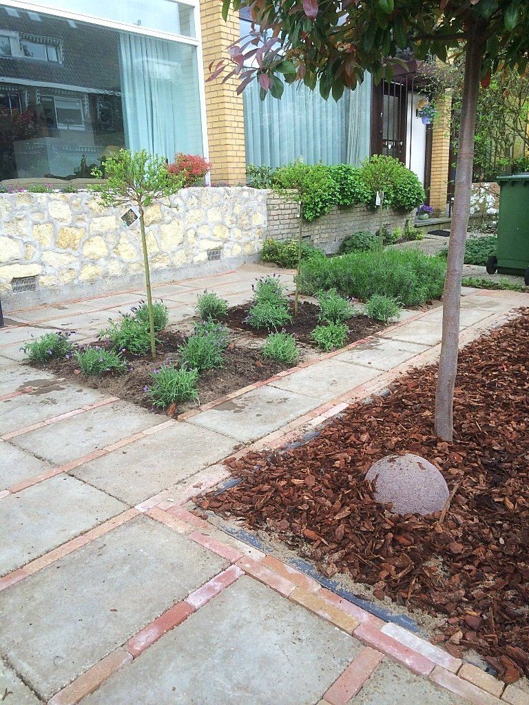 Een aangelegde tuin met een bakstenen pad, kleine bomen en een keermuur.