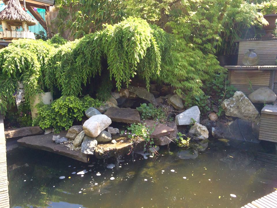 Een vijver met rotsen en begroeiing, met een treurboom die over het water hangt.