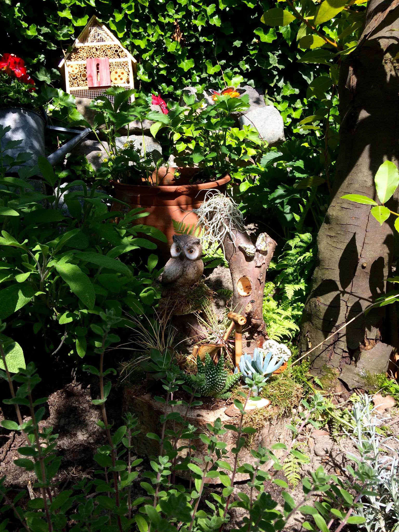 Een tuintafereel met een uilenbeeld, een vogelhuisje en weelderig groen in het zonlicht.