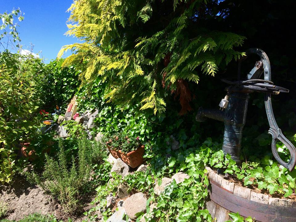 Tuinscène met een donkere metalen waterpomp naast een houten vat. Weelderig groen gebladerte en een helderblauwe lucht.