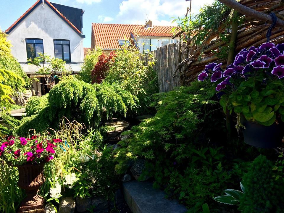 Een weelderige tuin met kleurrijke bloemen, een wit huis en een houten hek op een zonnige dag.