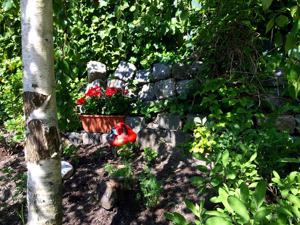 Tuinscène met een bakstenen keermuur, een berkenboom, rode bloemen in een pot en weelderig groen.