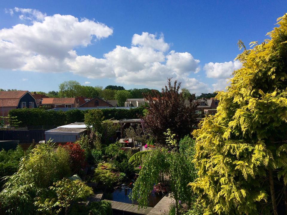 Met uitzicht op een zonnige tuin met diverse planten, huizen en een helderblauwe hemel met pluizige wolken.