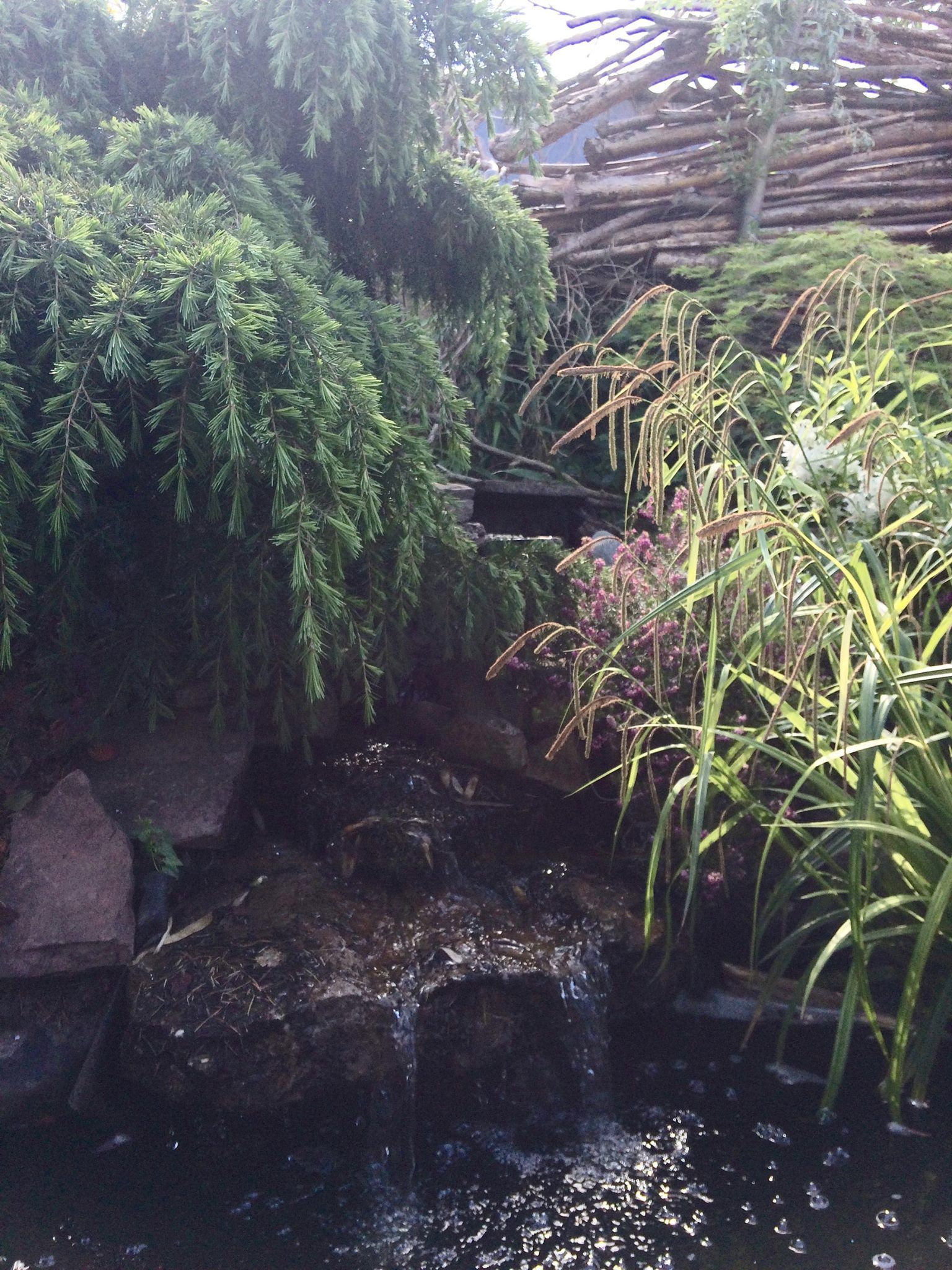 Een waterval die over donkere rotsen in een vijver stort, omgeven door weelderig groen en een houten hek.