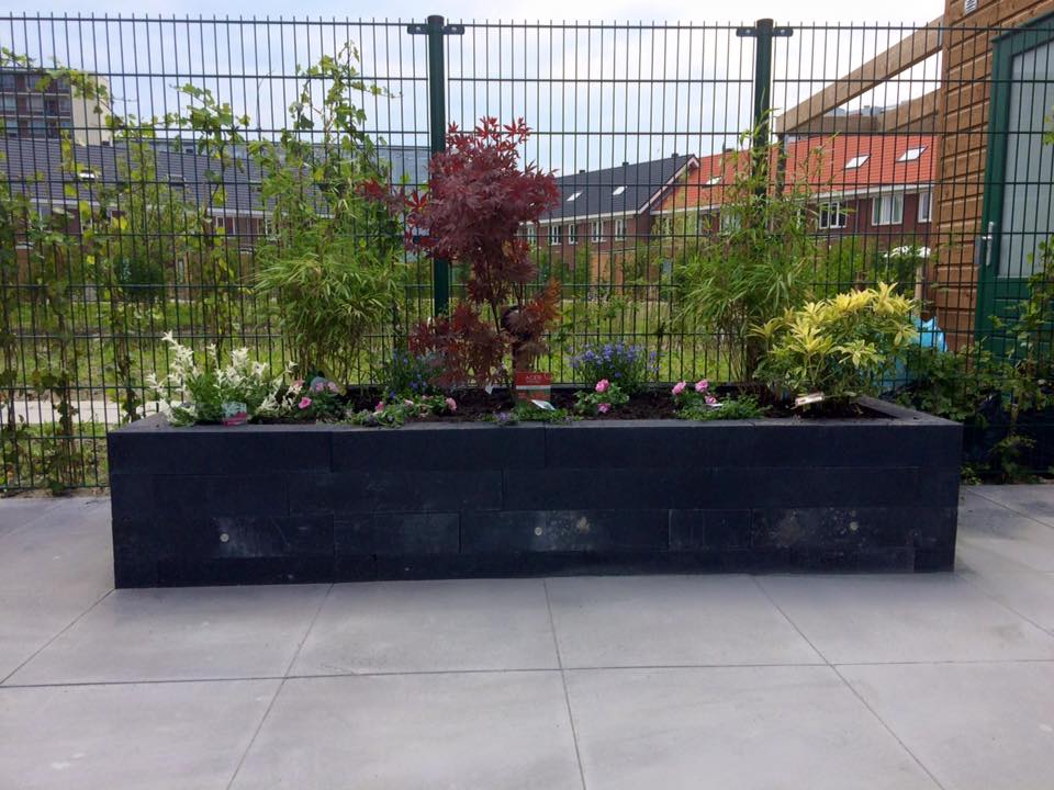 Verhoogde zwarte plantenbak gevuld met planten, op een grijs terras. Op de achtergrond zijn een hek en huizen te zien.