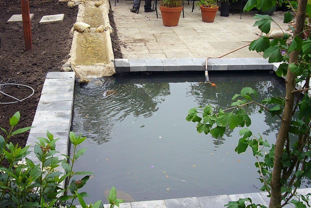Kleine rechthoekige vijver met waterval, stenen rand en weelderige begroeiing.