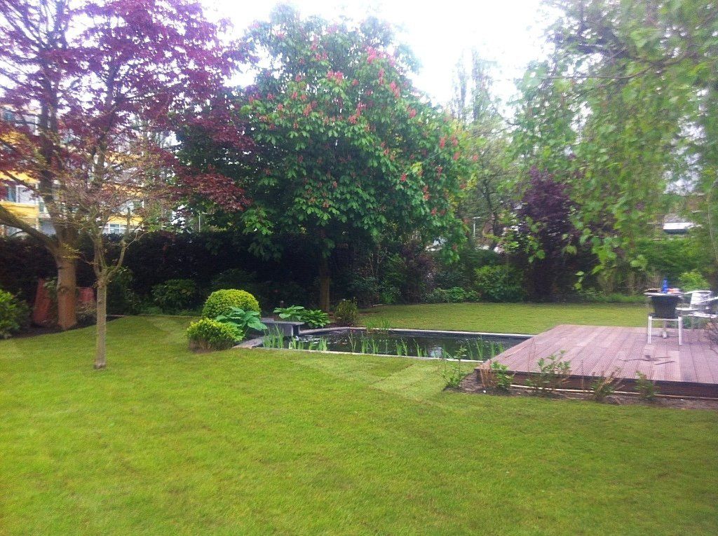 Een weelderige groene achtertuin met een vijver, een houten terras en diverse bomen en struiken.