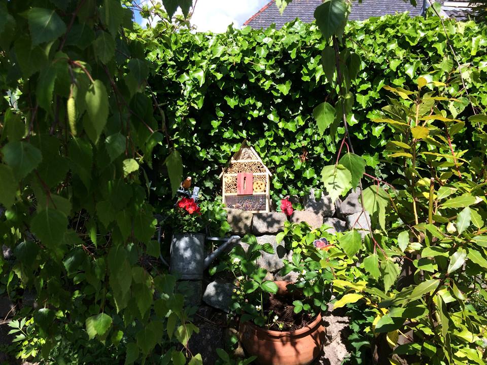 Een achtertuin met een stenen muur, groen, een bijenhotel en potplanten.