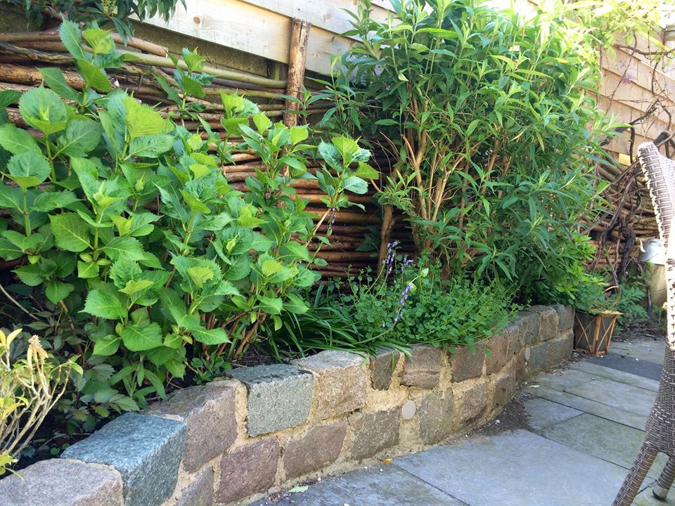 Bloembed met stenen muur, weelderige groene planten en een gevlochten hek.