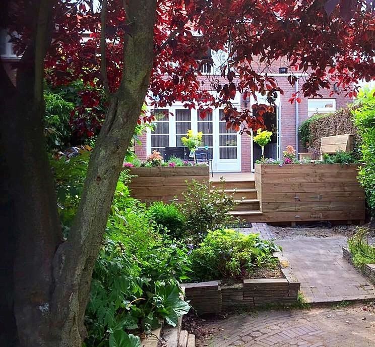 Een boom met rode bladeren omlijst een tuin met verhoogde houten plantenbakken, trappen en een bakstenen huis met dubbele deuren.