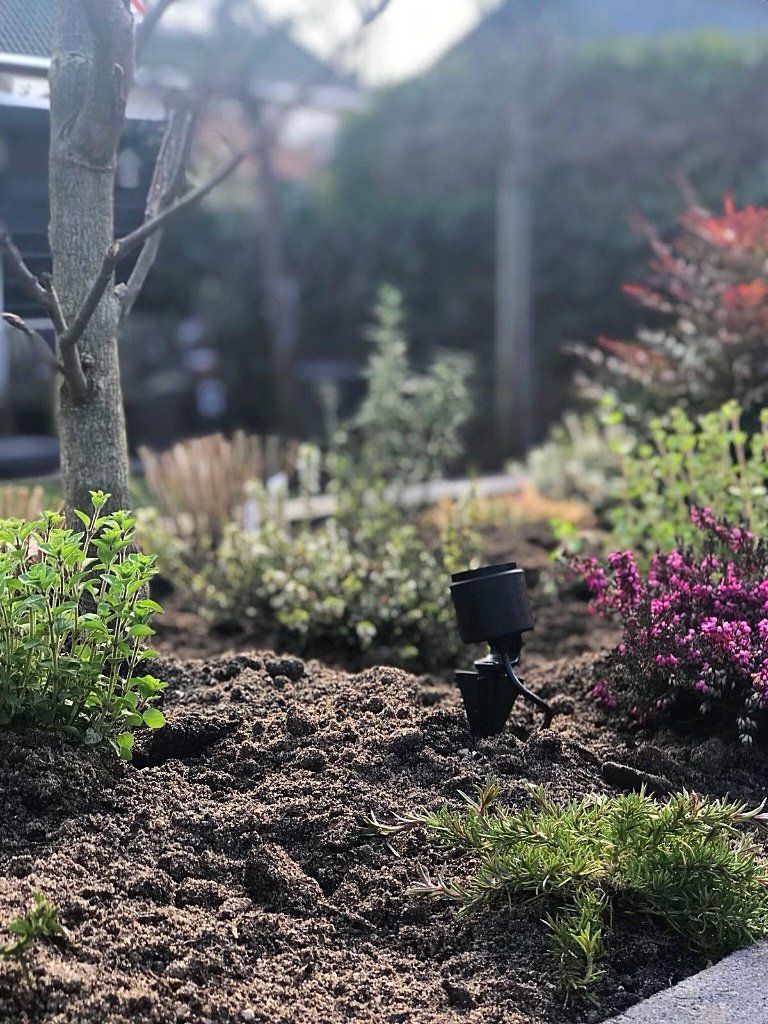 Een bloembed met donkere aarde, groene, paarse en zilverkleurige planten, een kleine zwarte spot en een boom.
