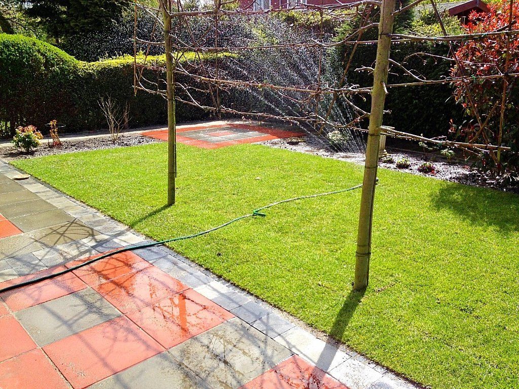 Een weelderig groen gazon wordt besproeid tussen twee slanke bomen, begrensd door een stenen terras en hagen.