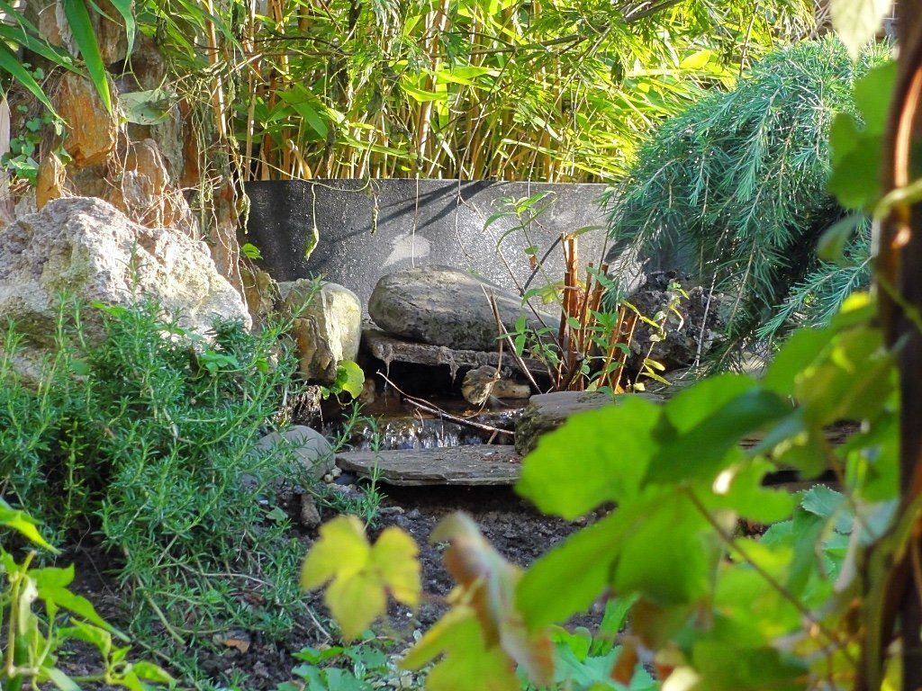 Een kleine tuinwaterval met weelderig groen en bamboe op de achtergrond.