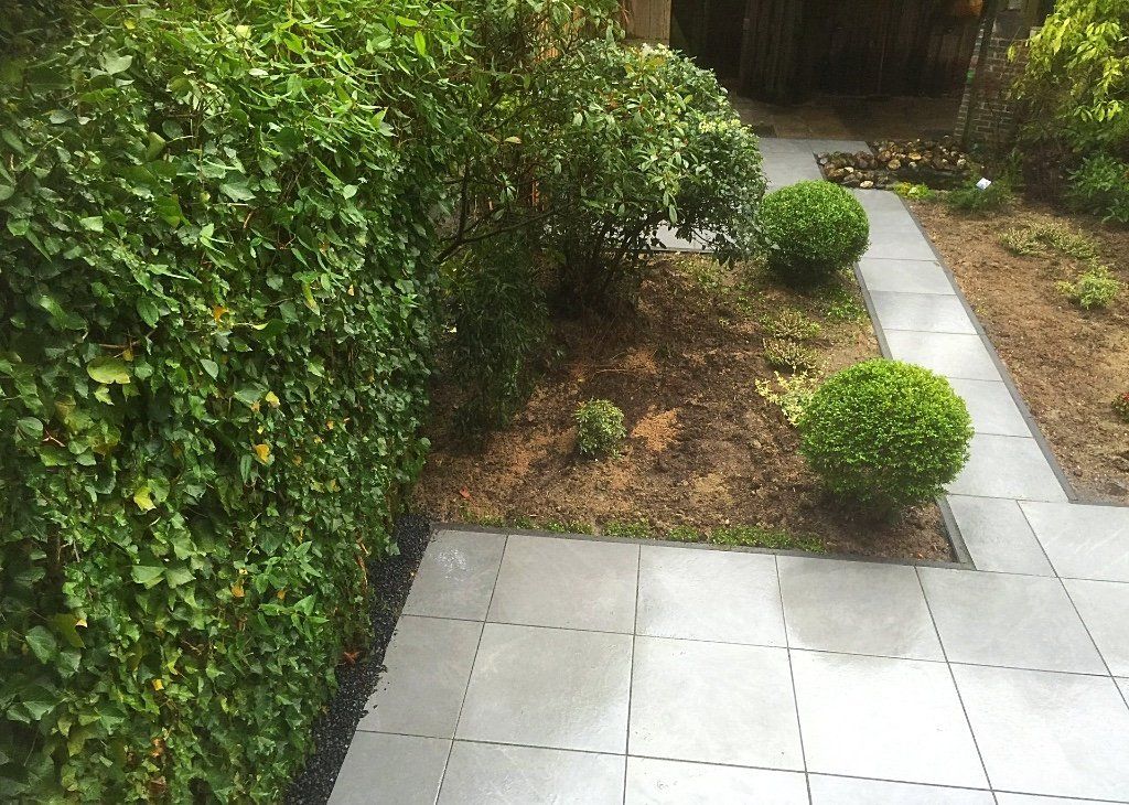 Groene haag naast een grijs betegeld pad en een bloembed met twee ronde groene struiken.