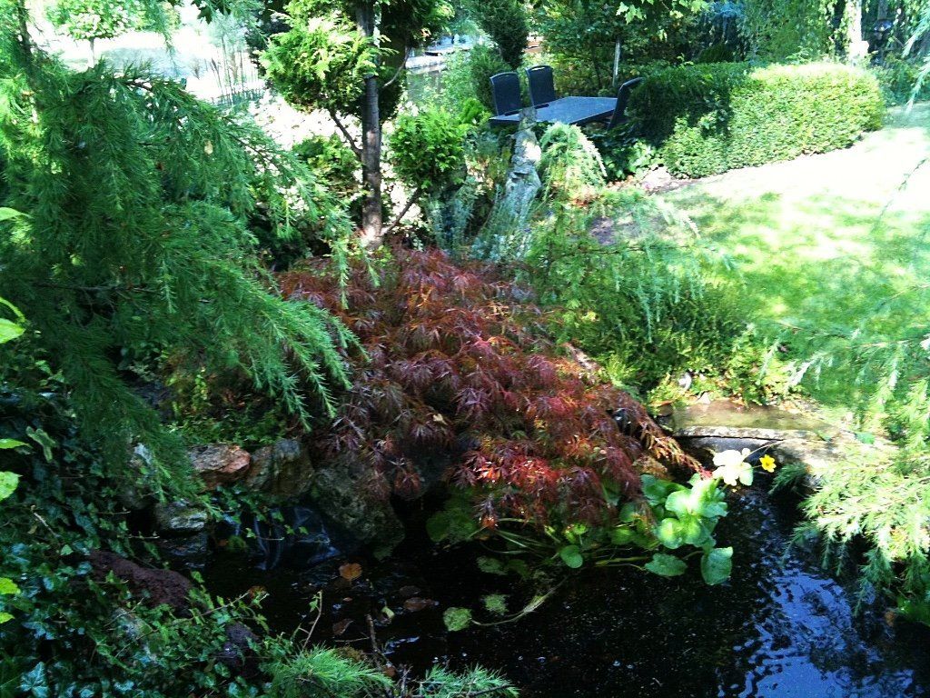 Een weelderige tuin met een vijver, vol kleurrijke planten, bomen en donker water.