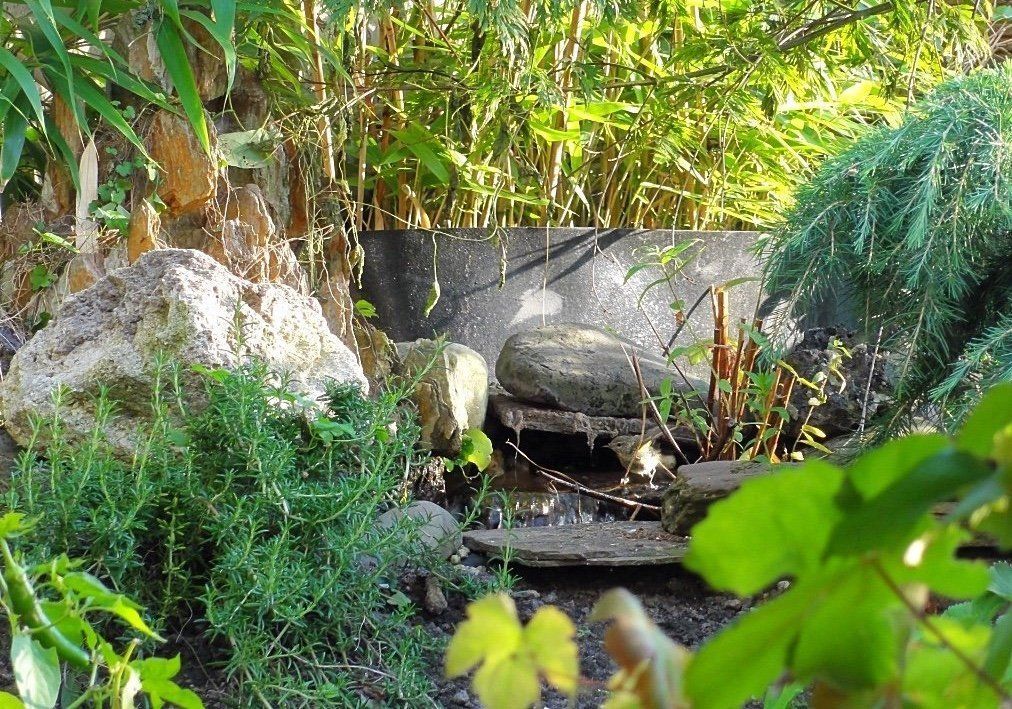 Een kleine waterval in een tuin, die over rotsen stroomt, omgeven door weelderig groen, bamboe en ander gebladerte.