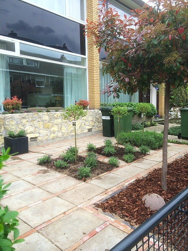 Tuinpad met bomen, struiken en plantenbakken voor een modern gebouw met grote ramen.