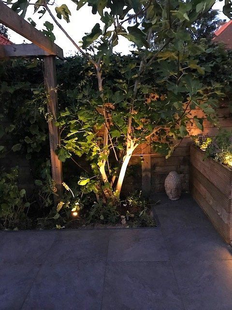 Een tuinscène 's nachts met een verlichte boom, houten schutting en stenen terras.