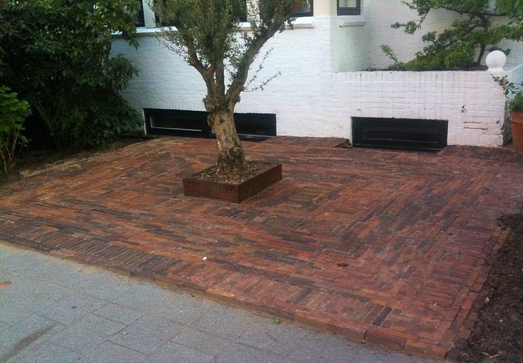 Een stenen terras met een boom in een metalen plantenbak, tegen een witte bakstenen muur en wat groen.