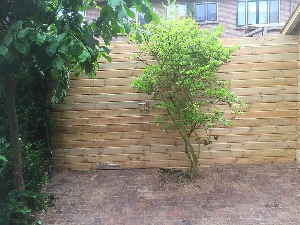 Houten schutting met een kleine boom ervoor, naast een grotere boom. Zonnige dag.