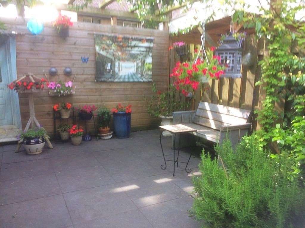 Gezellig terras in de achtertuin met houten schutting, bankje en diverse potplanten in de zon. Aan de schutting hangt een ingelijst kunstwerk.