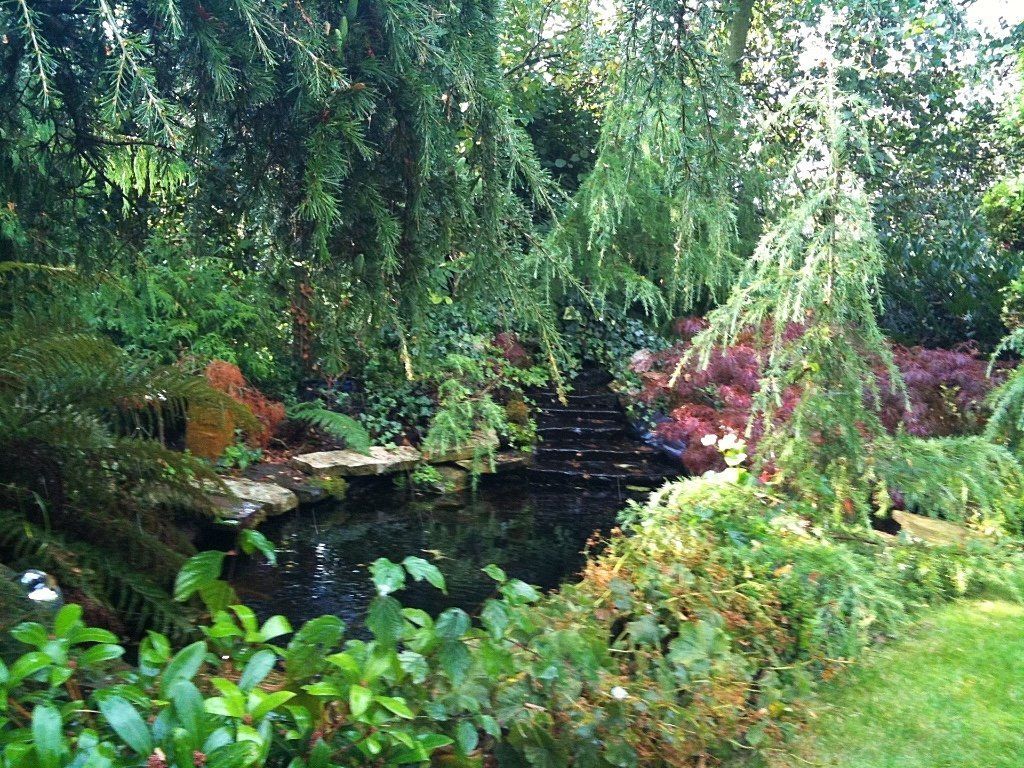 Een serene tuinvijver, omgeven door weelderig groen en een kleine stenen waterval.
