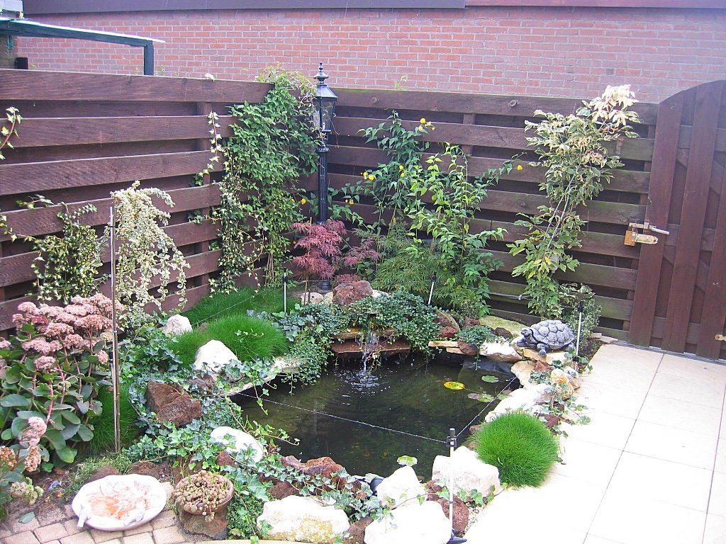 Een kleine tuinvijver met groen, rotsen en een hek op de achtergrond.