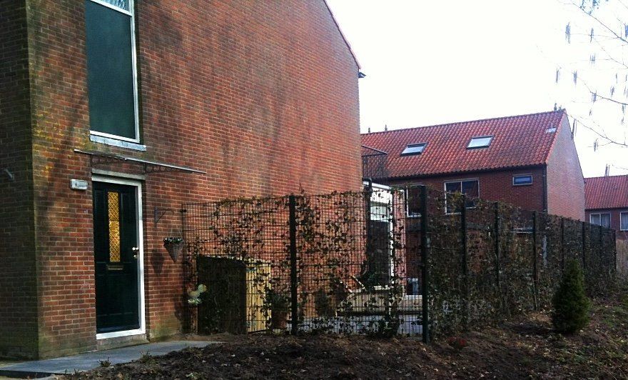 Bakstenen huizen met rode pannendaken, een groene deur en een zwart hek in een woonwijk.