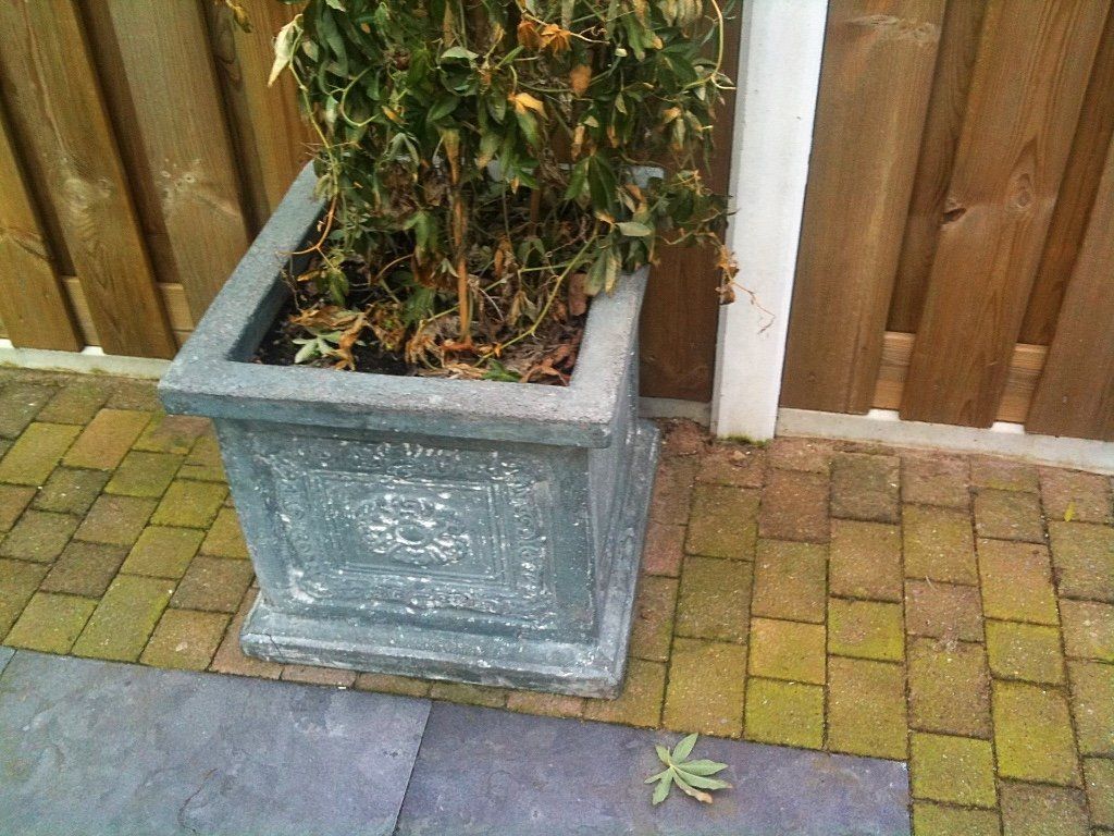 Vierkante grijze plantenbak met een dode plant op een terras van bakstenen en stenen naast een houten schutting.