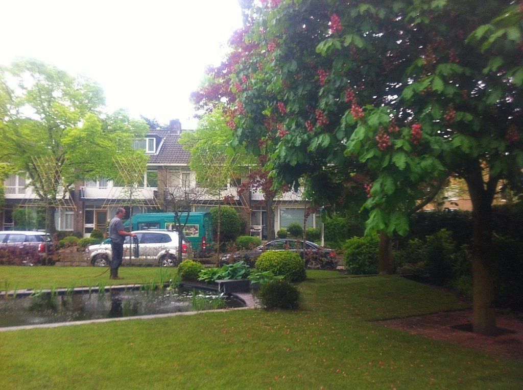 Een weelderig groen park met een vijver, bomen en huizen op de achtergrond. Iemand staat bij een auto.