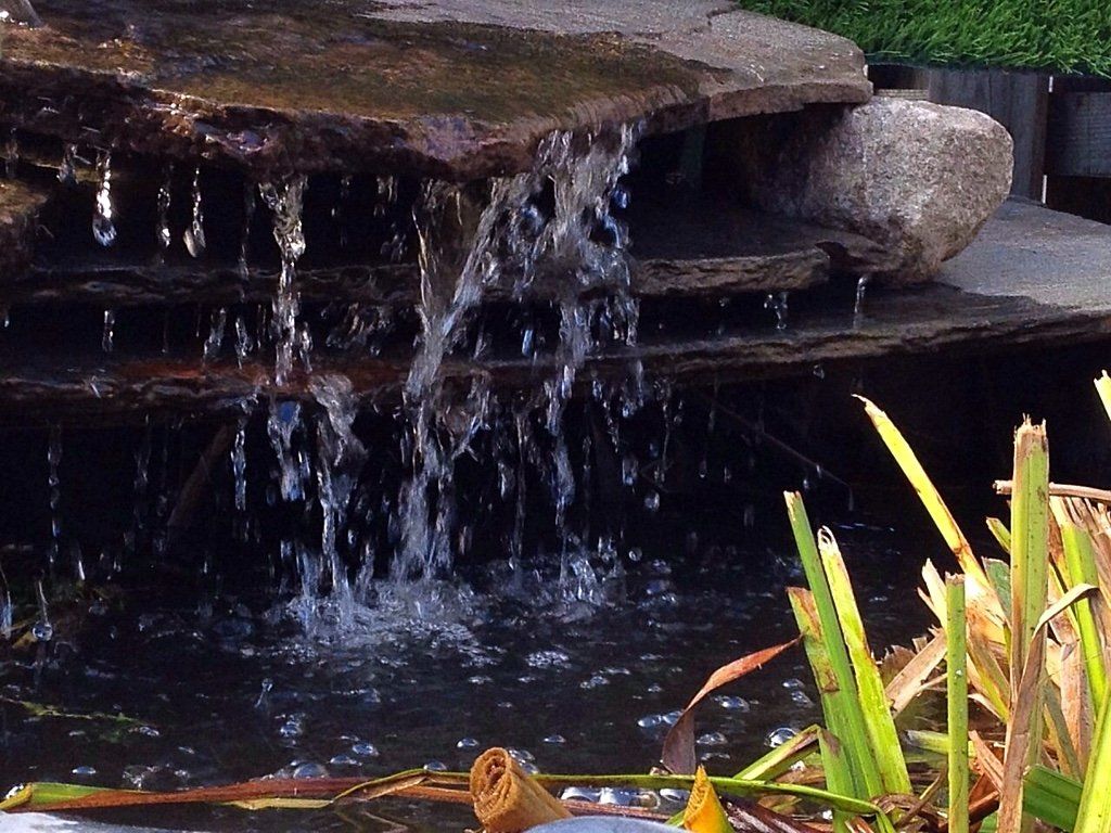 Een waterval die in een donkere vijver stort, met planten op de voorgrond en een stenen richel erboven.