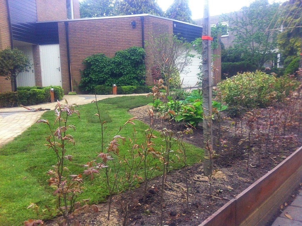 Een bloembed met gazon, kleine bomen en struiken voor een bakstenen gebouw.