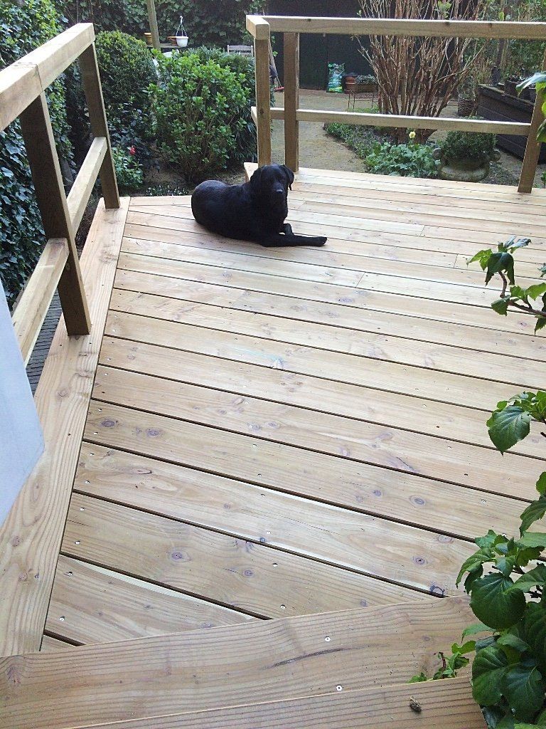 Een zwarte hond ligt languit op een houten terras met een reling; op de achtergrond is groen te zien.