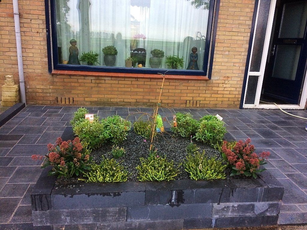 Verhoogd bloembed met kleine plantjes en een jonge boom voor een bakstenen gebouw met een raam.