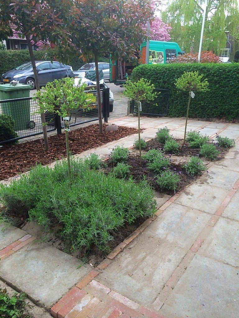 Een keurig onderhouden voortuin met groene struiken en kleine, gesnoeide bomen langs een pad.