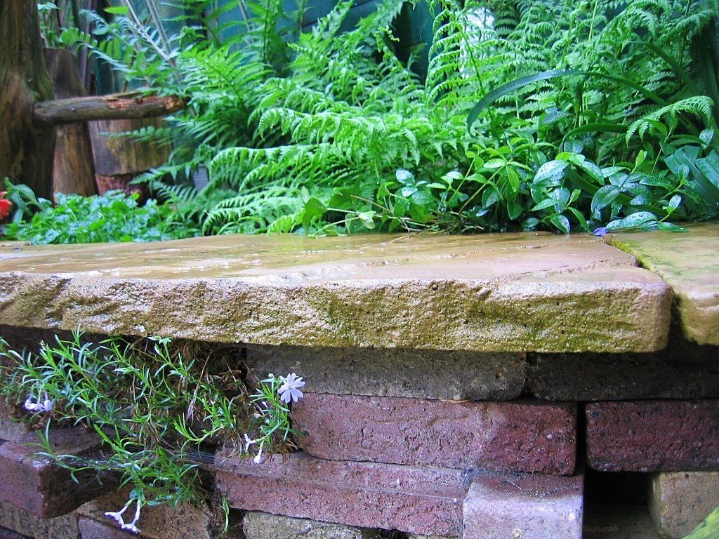 Bakstenen plantenbak met een blad van zandsteen, gevuld met weelderige groene varens en andere planten.
