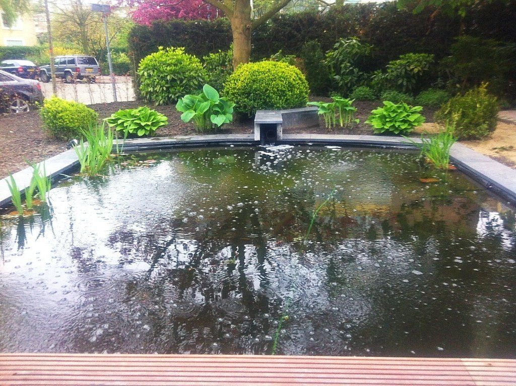 Een vijver met donker water, omgeven door groene planten en struiken in een tuinachtige omgeving.