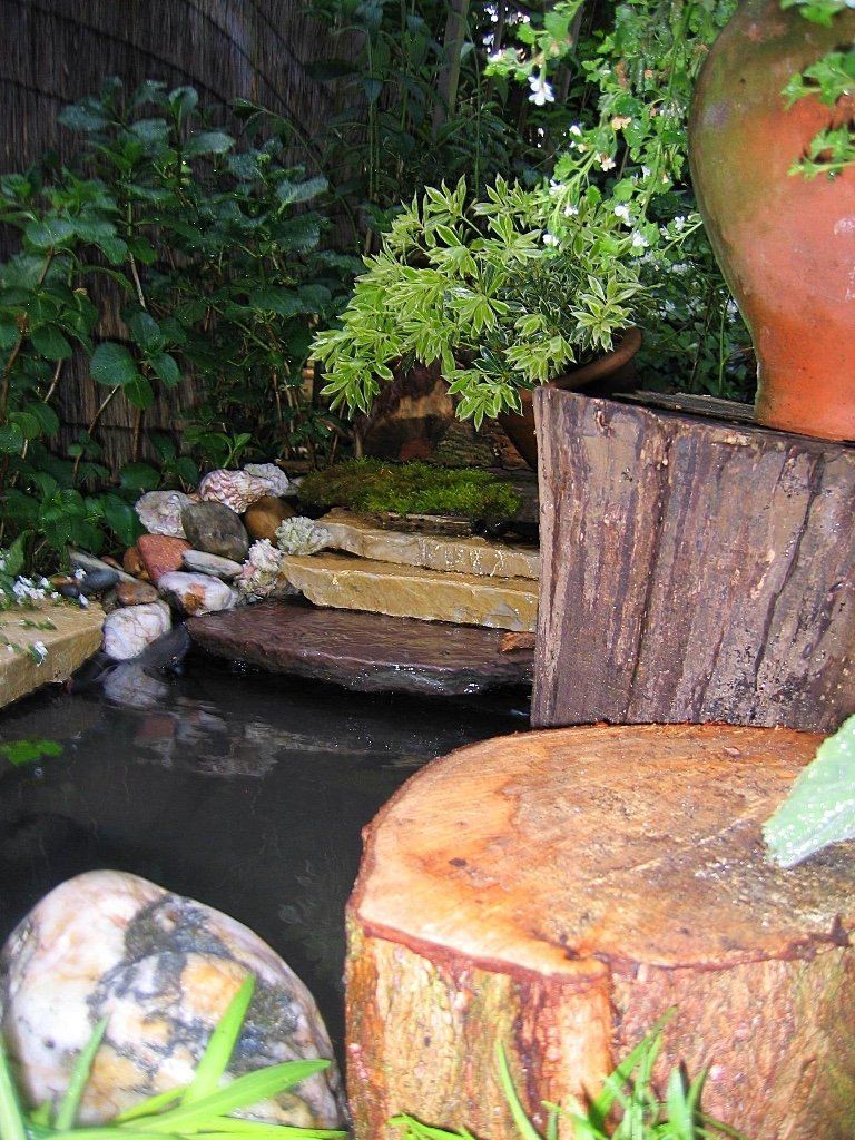 Een kleine vijver in de achtertuin met stenen, een boomstronk en weelderige groene planten.