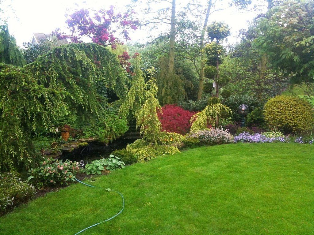 Een weelderige groene tuin met diverse planten, struiken en een glooiend gazon. Een waterslang ligt op het gras.