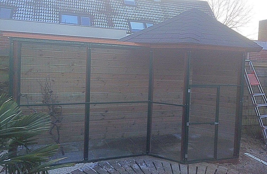 Een volière in de buitenlucht met wanden en dak van gaas, op een houten terras. Een ladder staat tegen de zijkant.