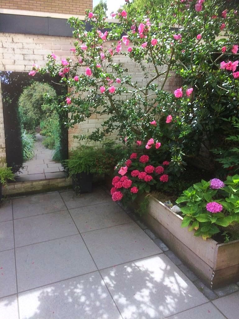 Terras met bloeiende roze struik en een glimp van het tuinpad door een boog.