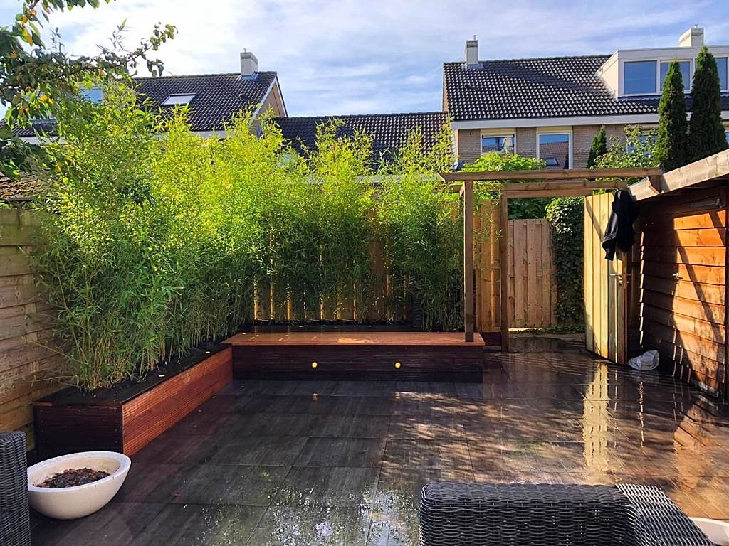 Een terras in de achtertuin met bamboeplanten, een houten bank en een schuur.