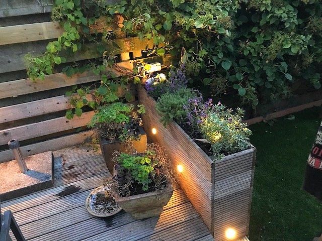Buitenterras met potplanten, verlicht door kleine, ronde lampjes. Houten schutting en groen op de achtergrond.
