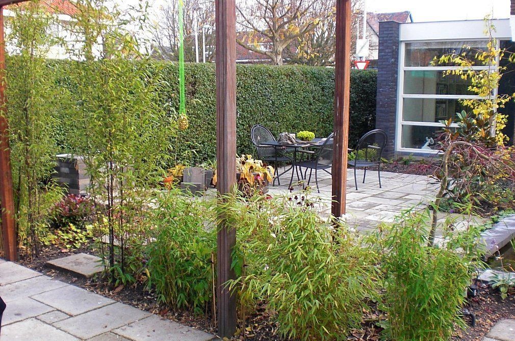 Achtertuin met bamboe, stenen terras, houten pergola, haag, tafel en stoelen.
